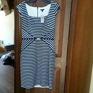 Ann Taylor dress