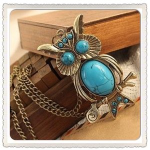 🌹SALE🌹Turquoise Owl Necklace