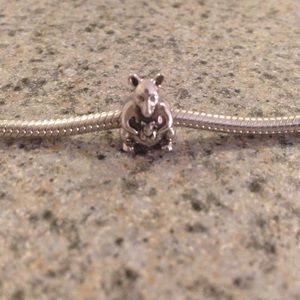 RETIRED Authentic Pandora Charm