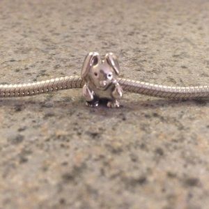 RETIRED Authentic Pandora Charm