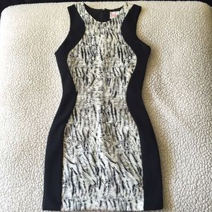 Zebra Contour Dress