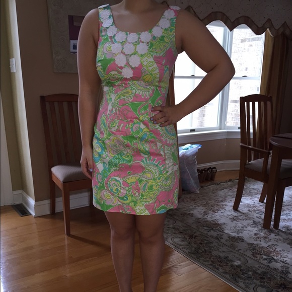 Lilly Pulitzer Dress - Picture 4 of 4