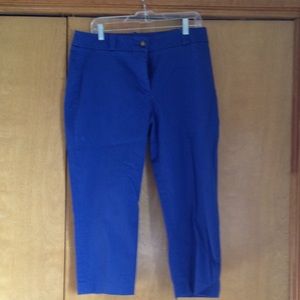 Fun bright blue and cranberry crops for spring!