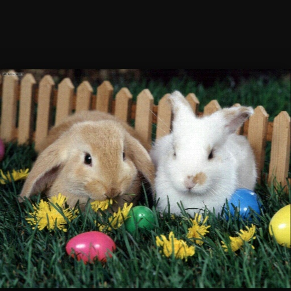 Happy easter!!!!