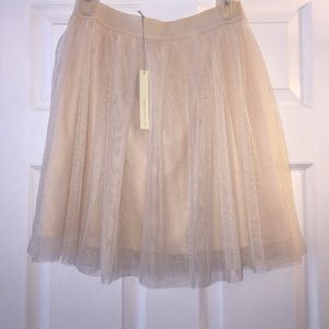 Tulle Skirt