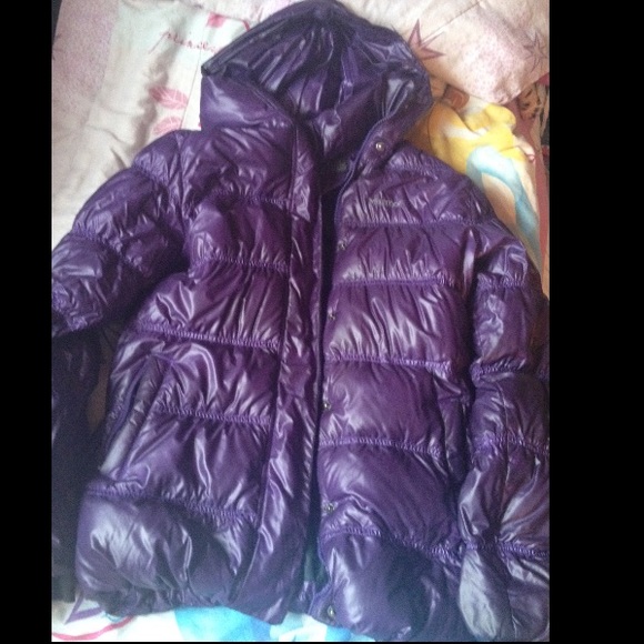 Purple Marmot Bubble