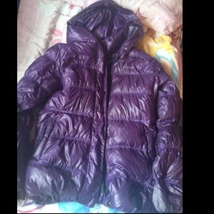 Purple Marmot Bubble