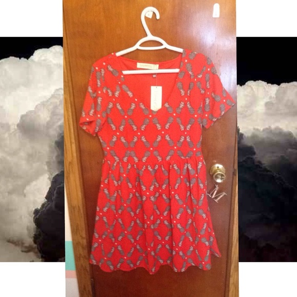 NWT Pineapple Babydoll Skater Dress