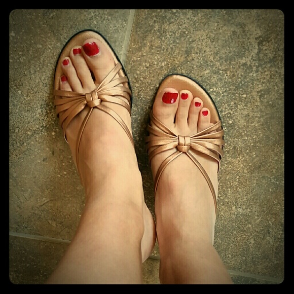 Bronze Callisto Slides