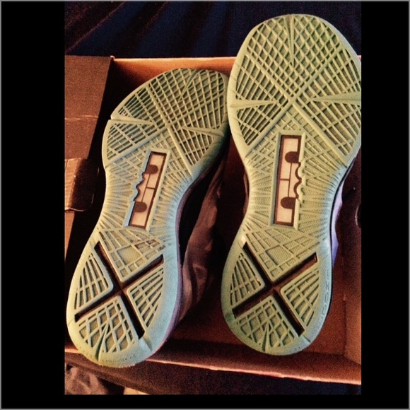 Lebron 10 platnums - Picture 2 of 4