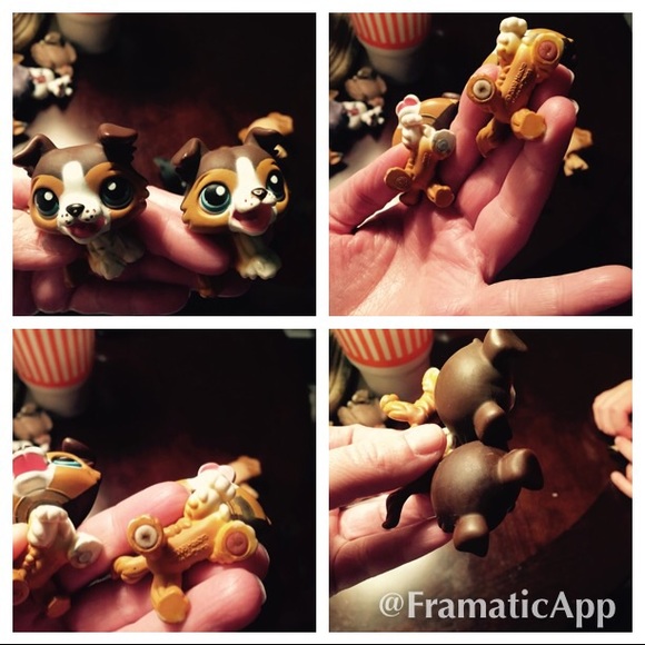 LPS Lot - Picture 4 of 4