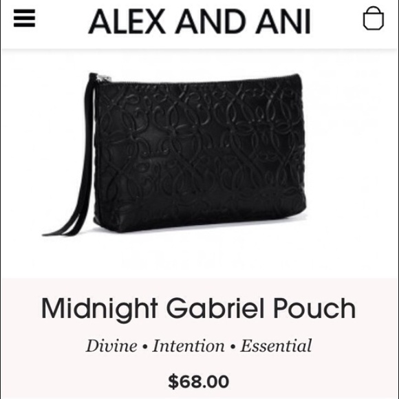 Alex and Ani pouch