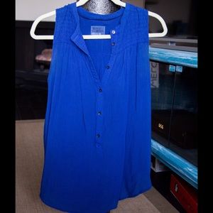 Blue blouse - anthro