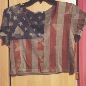 American Flag Brandy Melville Crop Top
