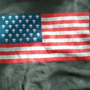 Brandy Melville american alien crop top