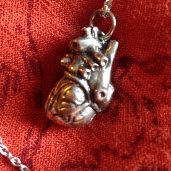 Solid stainless steel anatomical heart necklace
