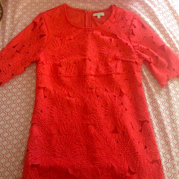 Preppy Francesca's Dress!