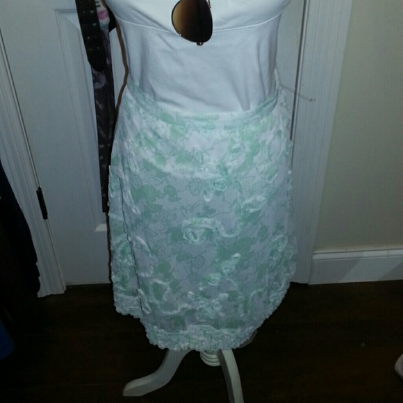 Nwt M.S.S.P skirt