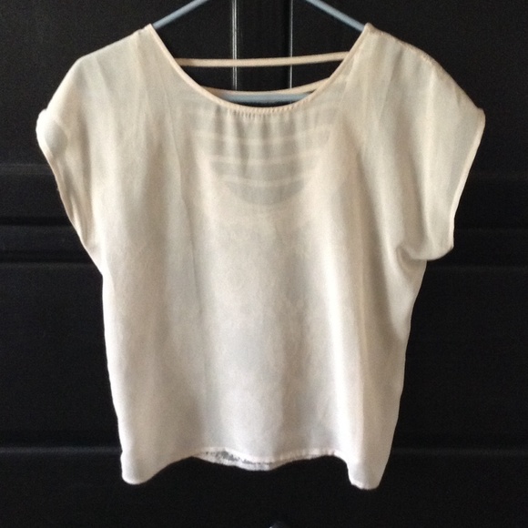 Light pink chiffon shirt
