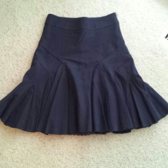 Odille (Anthropologie) Navy Skirt