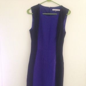 Business dress two tones blue. Just like new!