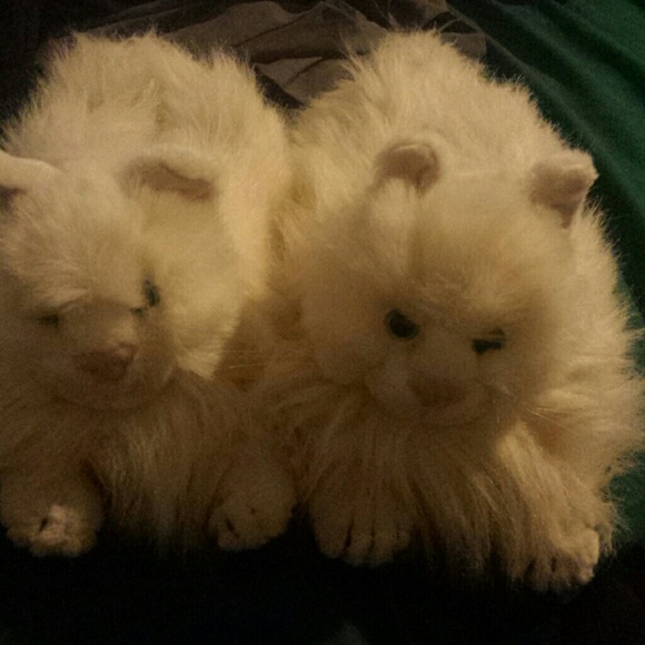 Cay slippers  that meow