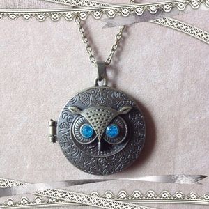 Owl Keepsake Locket Pendant Necklace