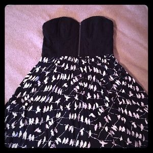 Xhiliration black bird dress