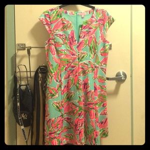 Lily Pulitzer Briella Dress Large