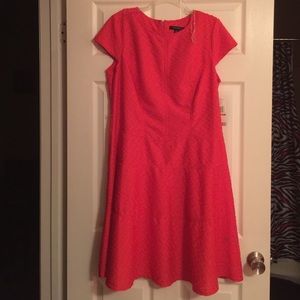 Brand new with tags, but missing belt