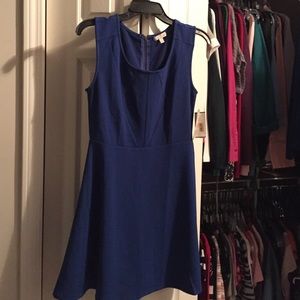 Gianni Bini (GB) Blue cobalt skater type dress