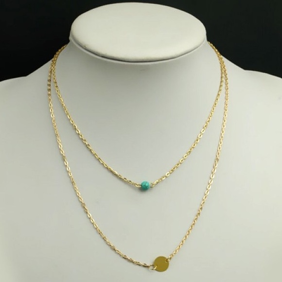 Double layer necklace NWOT