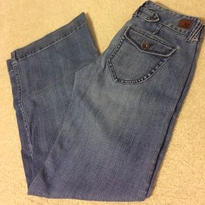 Express X2 Wide Leg Jean