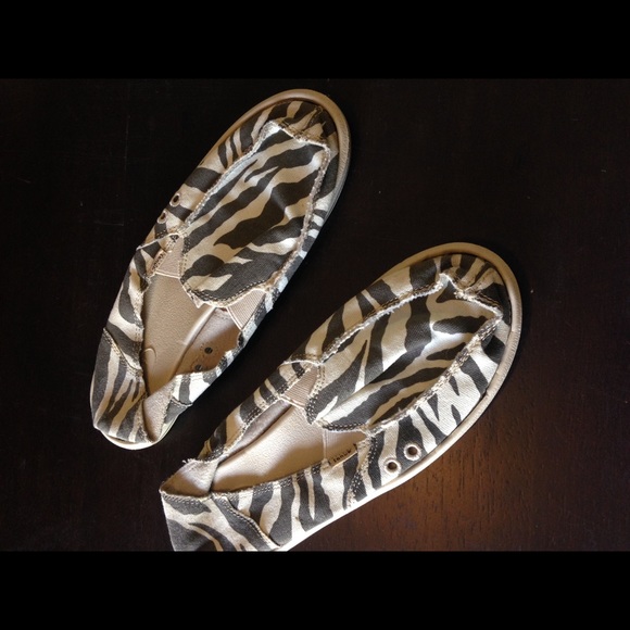 Zebra Sanuks