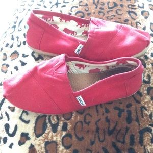 Adorable red toms ❤️