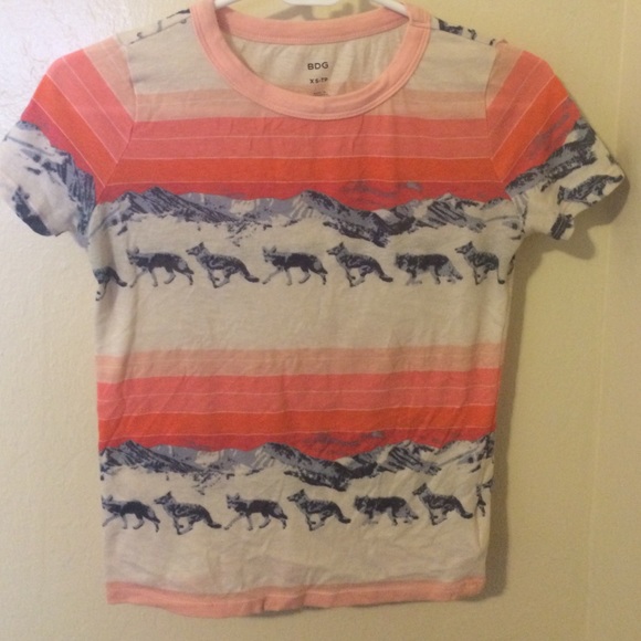 Striped BDG Cropped T-Shirt