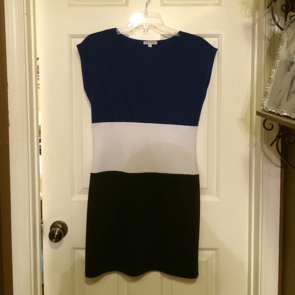 Velvet Torch Color Blocked Dress Size L
