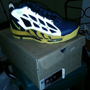 Michigan Wolverine Air Max Pillars