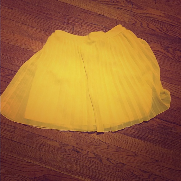 Pleated Skirt