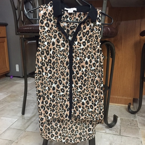 Cheetah Gold Detailed Collar Top