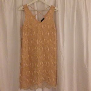 Astr blush dress with gold embroidery.