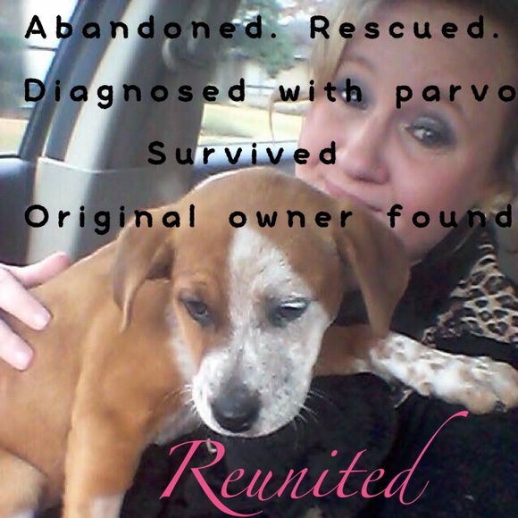 One tail wag at a time.... - Picture 2 of 2