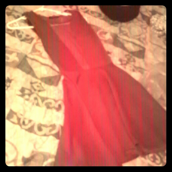 Red rose