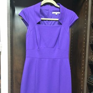 Brand New Antonio Melani dress