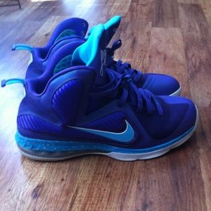 Lebron 9 hornets