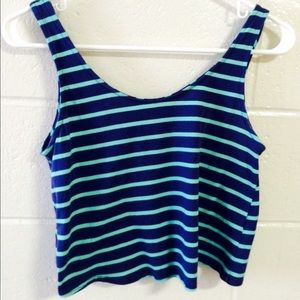 Mint Green and Navy Pinstriped Crop Top
