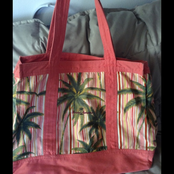 Gently used beach bag