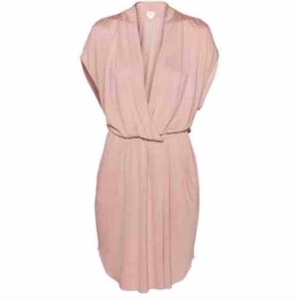 aritzia nude dress