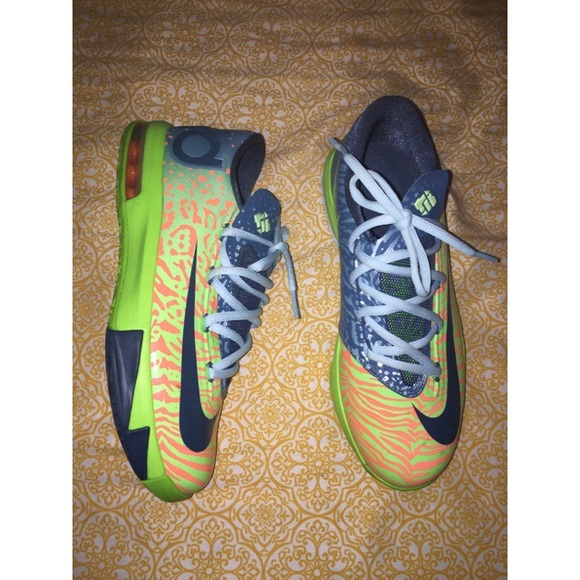 KD 6 "Liger" 🐯