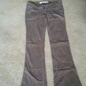 hollister pants